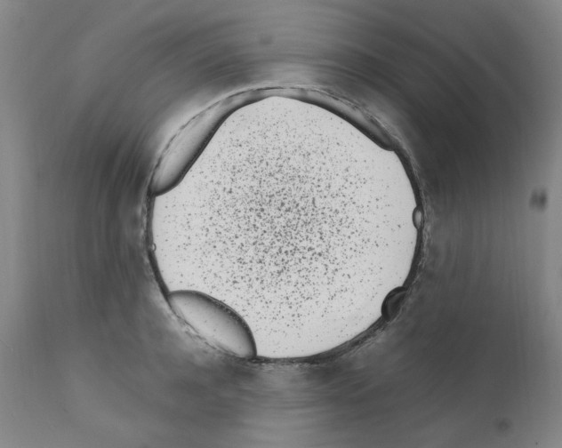 X0000111500944200908251046