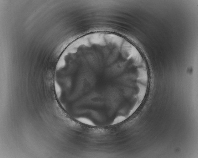 X0000111500945200908251046