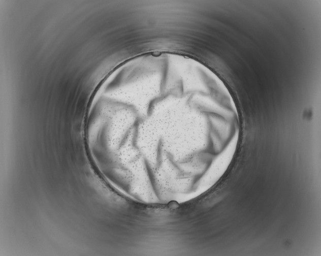 X0000111500946200908251046