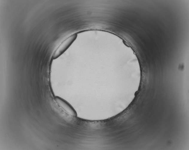 X0000111500948200908251046