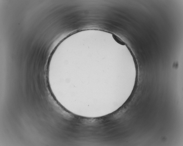 X0000111500949200908251046