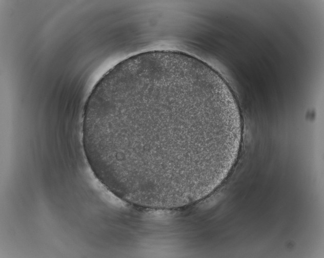 X0000111500950200908251046