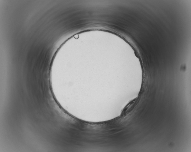 X0000111500951200908251046