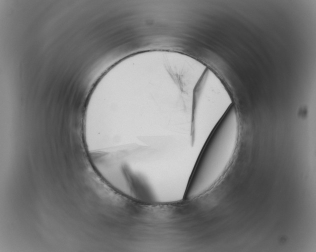 X0000111500952200908251046