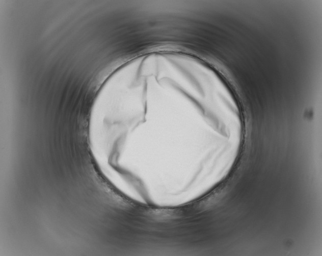 X0000111500953200908251046