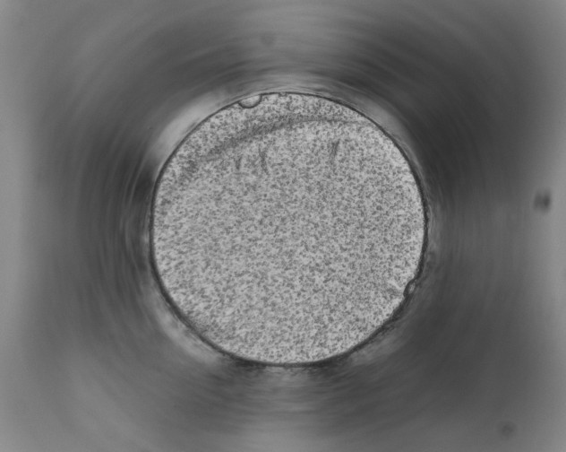 X0000111500954200908251046