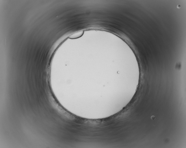 X0000111500955200908251046