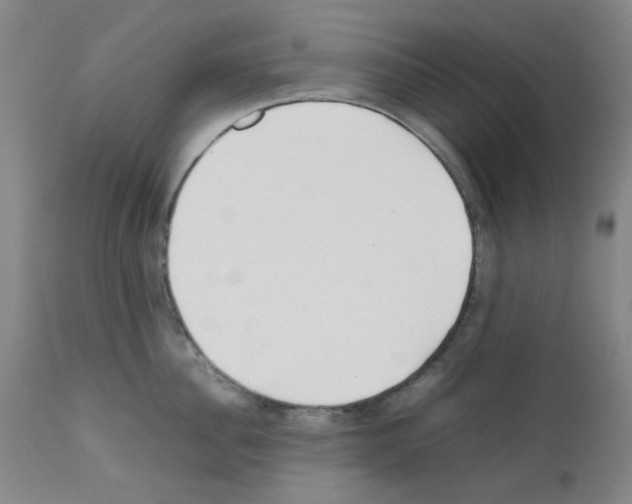 X0000111500956200908251046