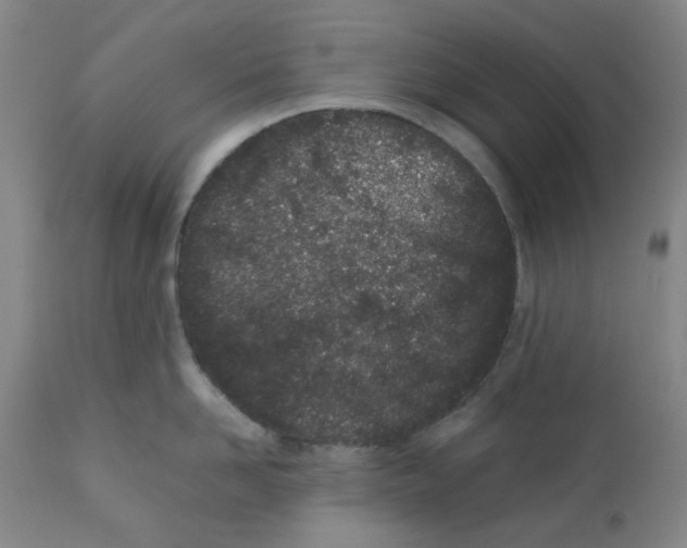 X0000111500958200908251046