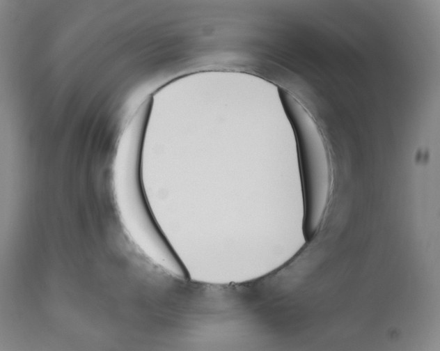 X0000111500960200908251046