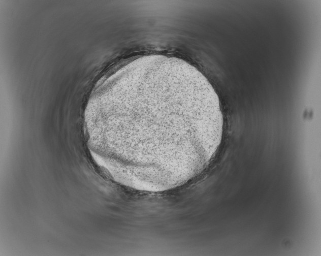 X0000111500961200908251046