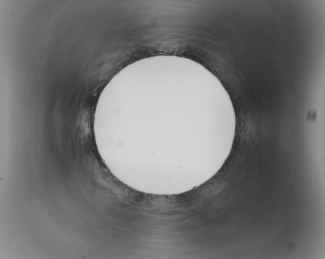 X0000111500962200908251046