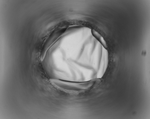 X0000111500965200908251046