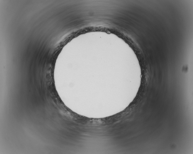 X0000111500968200908251046