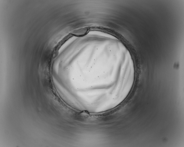 X0000111500969200908251046