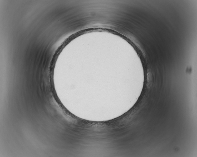 X0000111500972200908251046