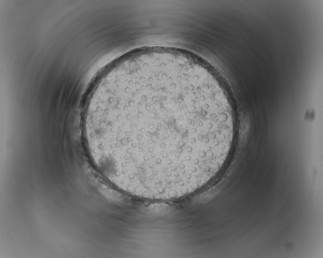 X0000111500974200908251045