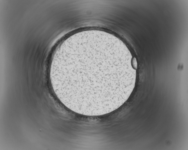 X0000111500975200908251045