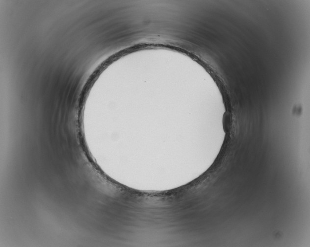 X0000111500976200908251045