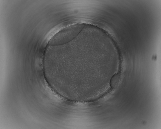 X0000111500977200908251045