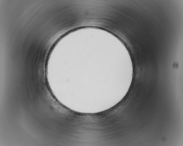 X0000111500980200908251045