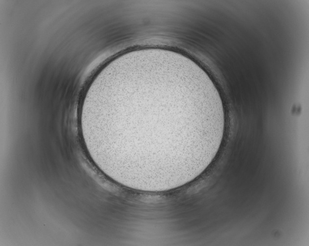 X0000111500982200908251045