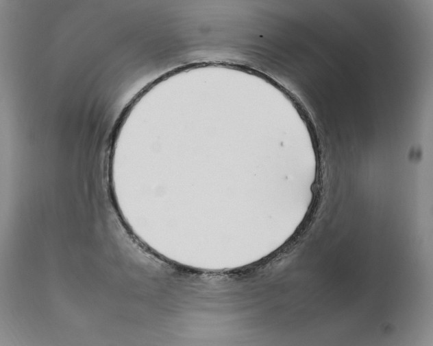 X0000111500983200908251045