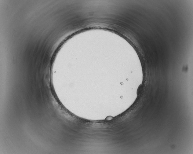 X0000111500984200908251045