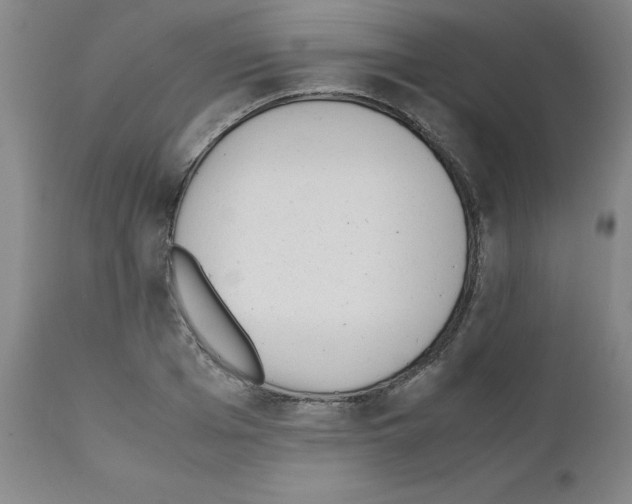 X0000111500985200908251045