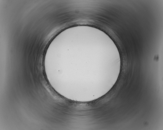 X0000111500986200908251045