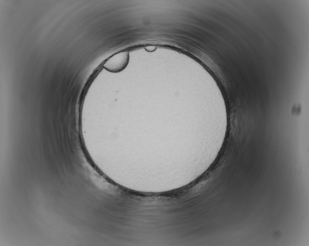 X0000111500988200908251045