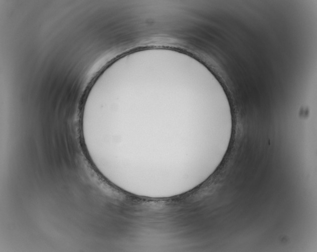 X0000111500990200908251045