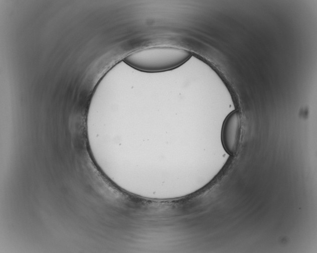 X0000111500993200908251045