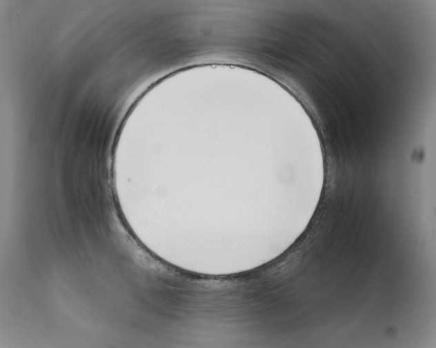 X0000111500996200908251045