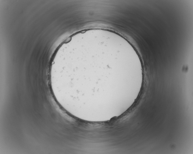 X0000111500997200908251045