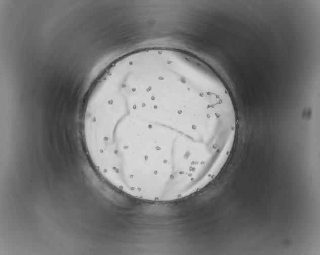 X0000111500998200908251045