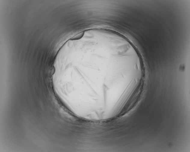 X0000111501001200908251045