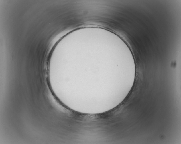 X0000111501003200908251045