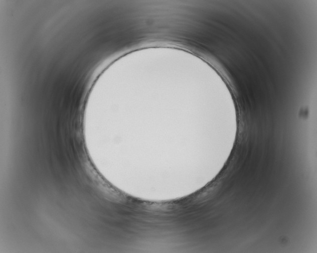 X0000111501004200908251045