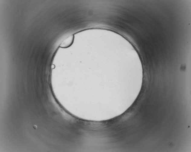 X0000111501007200908251045