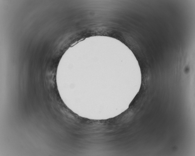 X0000111501010200908251044