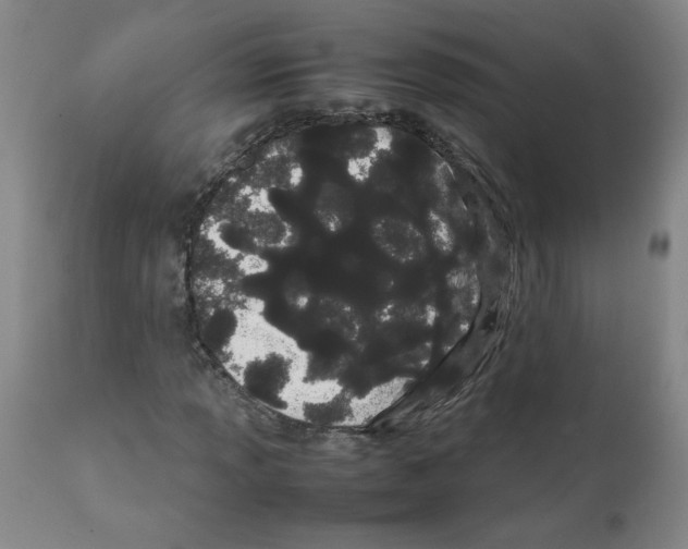 X0000111501013200908251044