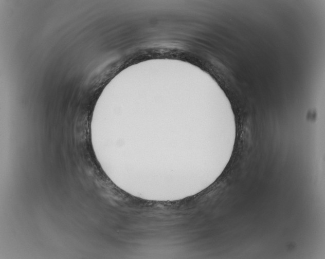 X0000111501014200908251044