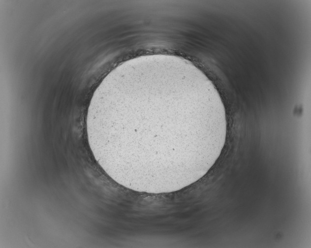 X0000111501015200908251044