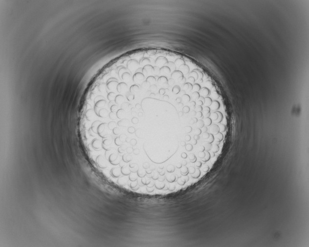 X0000111501020200908251044