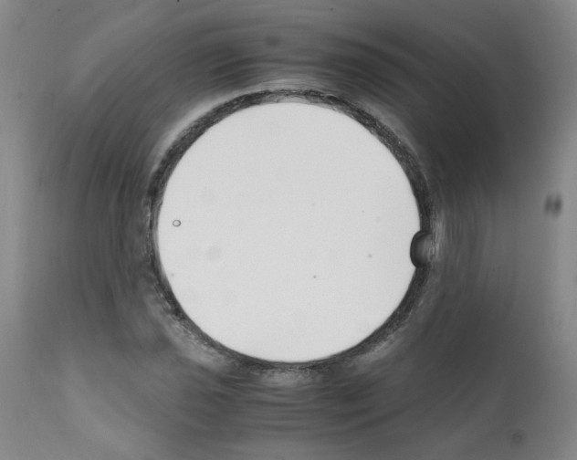 X0000111501021200908251045