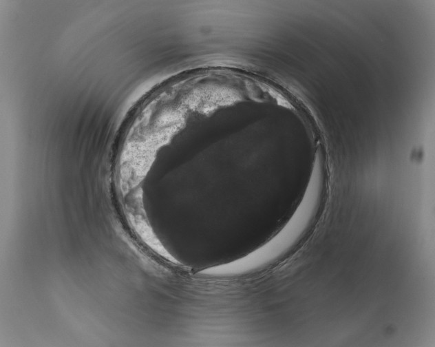 X0000111501024200908251045