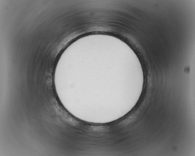 X0000111501025200908251045