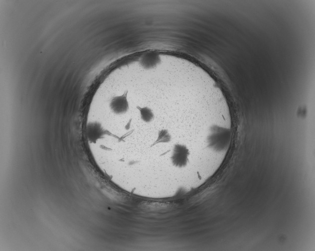 X0000111501027200908251045