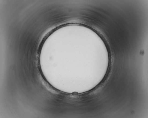 X0000111501029200908251045